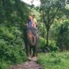 Tourist Attraction Phuket - Thailand - Image 6
