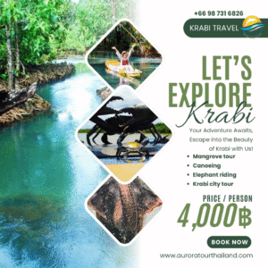 Canoeing in the mangrove forest, Krabi