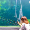 Tourist Attraction Phuket - Thailand - Image 2