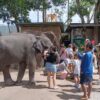 CITY TOUR PHUKET  PROGRAM AC2 - Image 10