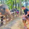 Phuket Tour - Image 8